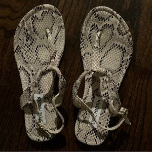 Steve Madden Beige Faux Snake Skin Thong Sandals. Size 7.